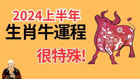 屬牛財運|2024年屬牛人的全年運勢（超詳細）